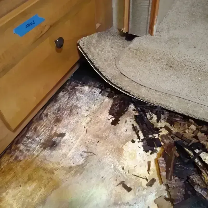 Wood Floor Water Damage in Pittsburgh, PA